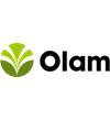 Olam